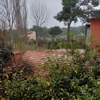 Döşemealtı Belediyesi Bulaşıcı Hastalık Riski