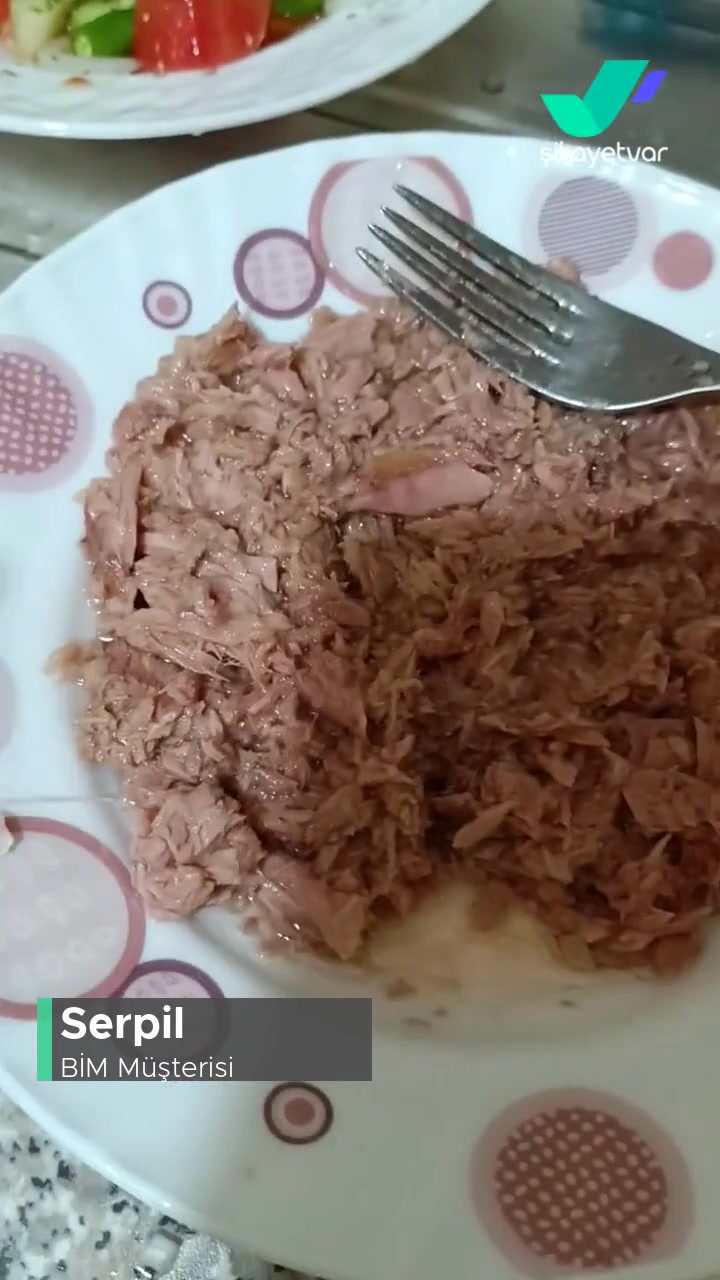 BİM Derya Ton Balığı İçinde Kılçık Ve Bilmediğimiz Şeyler Çıktı videonun kapak resmi