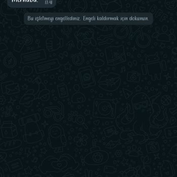 WhatsApp +234 İle Başlayan Numara WhatsApp'tan Yazdı