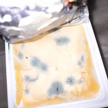 Torku Bozulma Sağlığa Zararlı