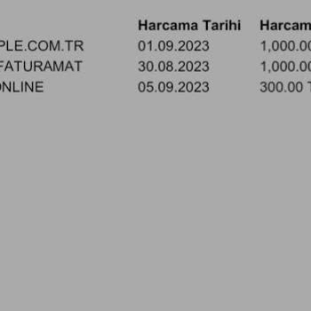 İşyerimpos Hesabımdan Para Çekti