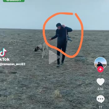 TikTok #devlete Baş Kaldırmak