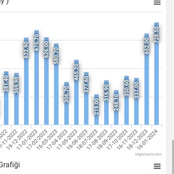 Aras Elektrik Dağıtım'ın Haksız Kazançları