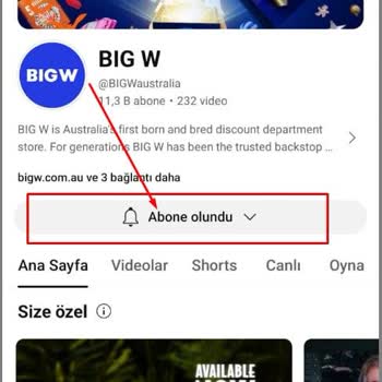 Görev Yap Para Kazan Diye Paramızı Ödemiyorlar