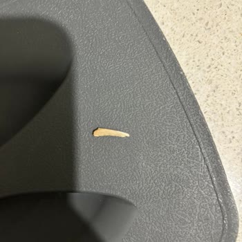 Erpiliç Tavuk Göğsünden Çıkan Tavuk Tırnağı