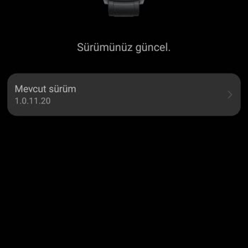 Honor Magic Watch 2 Update Problem