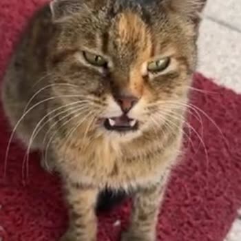 Aydın Büyükşehir Belediyesi Sorumsuz Belediye Çalışanı