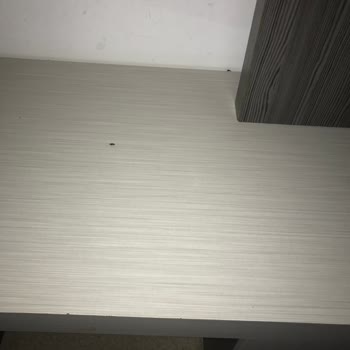 Tekirdağ Namık Kemal Üniversitesi Hastanesi Odalarda Böcek Var