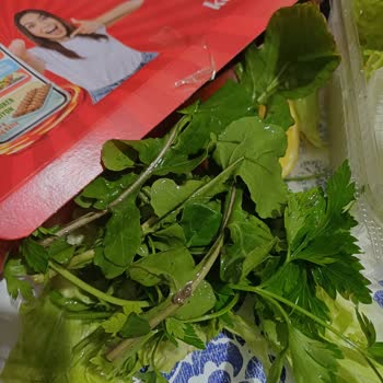 Komagene'de Yeşilliklerde Çamur Hayal Kırıklığı