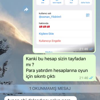 Pinupbet Hesaba Para Transferinde Gecikme Yaşadım