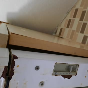 Arçelik Ürünlerimde Boya Atması