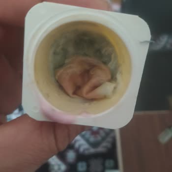 Danone Tikveşli Bozuk Danino Küflü Danino