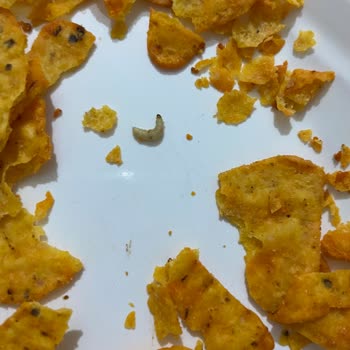 Patos Cips İçinde Canlı Kurt Çıktı