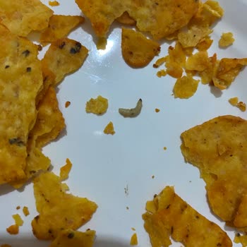 Patos Cips İçinde Canlı Kurt Çıktı