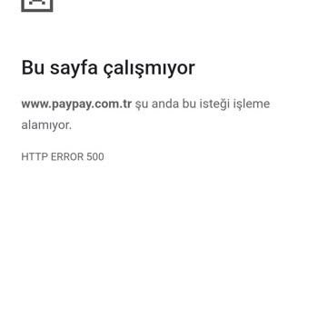 Pay Pay Hesabıma Giriş Yapamıyorum