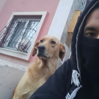 Adana Büyükşehir Belediyesi Hayvanları Koruma Yaşama Adalet Olmalı