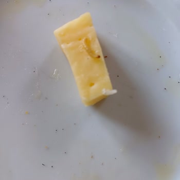 Hasmandıra Kasar Peynirinden Kurt Çıktı!