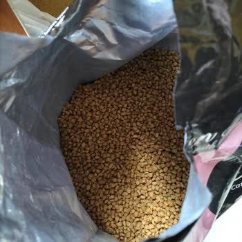 VanCat Market Kedi Mamasının İçinden Farklı İçerikli Ürün Çıktı!