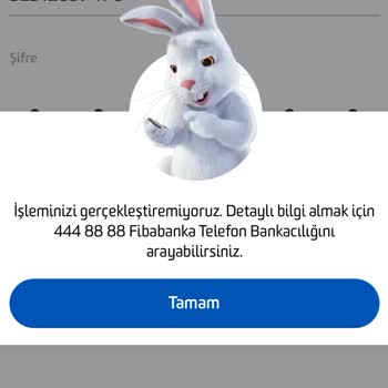 Fibabanka Mobil Giriş Yapamıyorum