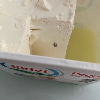 Ekici Peynir'den Kurumuş Böcek Çıktı!