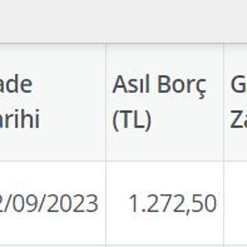 Dacia Bayisi 0 Km Aracın MTV Taksitini Ödemiyor