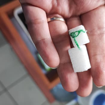 Pek Küp Şeker Mağduriyeti