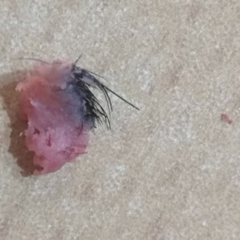 Beşler Marka Sosisin İçinden Pos Çıktı!