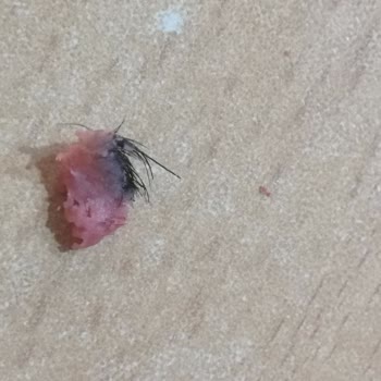 Beşler Marka Sosisin İçinden Pos Çıktı!