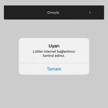Mavi Site İnternet Bağlantısı Hatası Veriyor