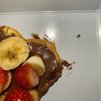 Edem Waffle Tatlımdan Böcek Çıktı