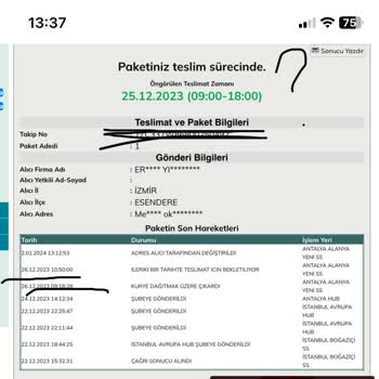 UPS Türkiye Ürünümü Çok Geciktirdi