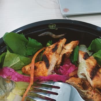 Green Salads Sümüklü Böcekli Salata