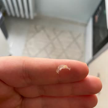 Merhaba Pastaneleri Ekler Farklı Cisim