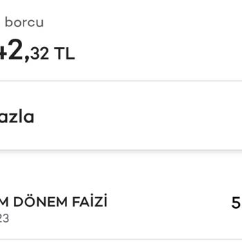 Akbank Kredi Kartı Ekstresindeki Faiz Yansıtma Durumu