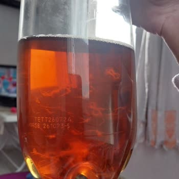 Fuse Tea İçinden Çıkan Sümüksü Tortular