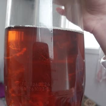 Fuse Tea İçinden Çıkan Sümüksü Tortular