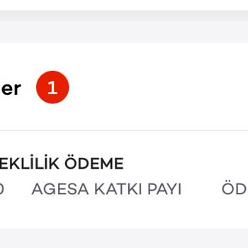Agesa Hayat Ve Emeklilik Bireysel Emeklilikte Beklenmedik Sorunlar