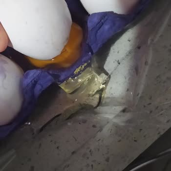 Şok Marketler İade Sürecinde Yaşanan Olumsuzluklar Ve Firma Tavrı