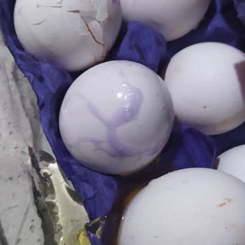 Şok Marketler İade Sürecinde Yaşanan Olumsuzluklar Ve Firma Tavrı