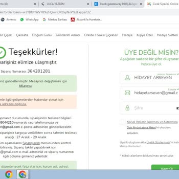 Sürat Kargo Değil Kaplumbağa Kargo