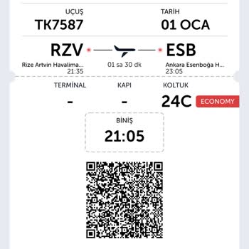 Türk Hava Yolları Mağduriyet