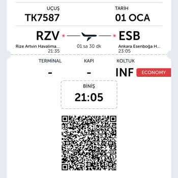 Türk Hava Yolları Mağduriyet