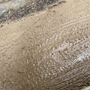 ABB - Ankara Büyükşehir Belediyesi Belediye Neden Çalışmıyor