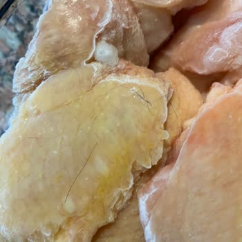 Orvital Kanatların Üstü İnsan Saçı Dolu