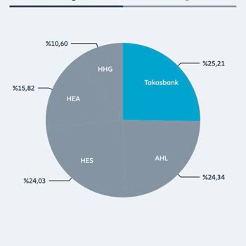 Allianz Hayat ve Emeklilik Bireysel Emeklilik Şirketi - Fon Dağılımı Güncellemesi Sorunu