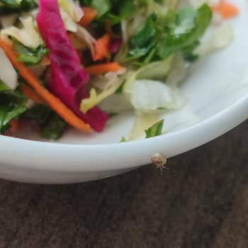 En Gözde Restaurant Restoranda Beklenmedik Sürprizler