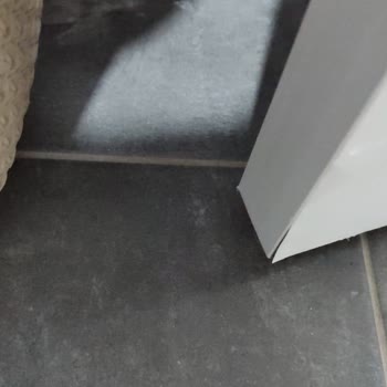 Variodor Kapı Kapılarım Kabardı, Mağduriyetim Giderilsin!