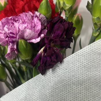Çiçek Market Çürümüş Çiçek Yolladılar