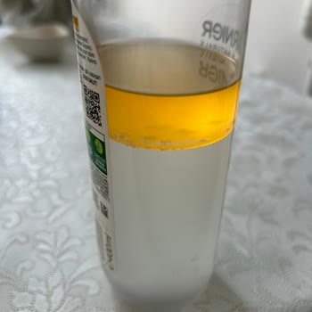 Garnier İçinde Yüzen Şeyler Nedir