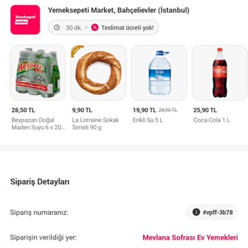 Yemeksepeti Çorbadan Kocaman Böcek Çıktı.